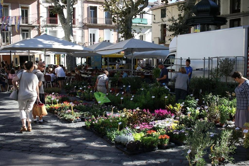 Ferienwohnung Hidden Gem Au Coeur De Sete & Vue Sur Mont St Clair Exterior foto